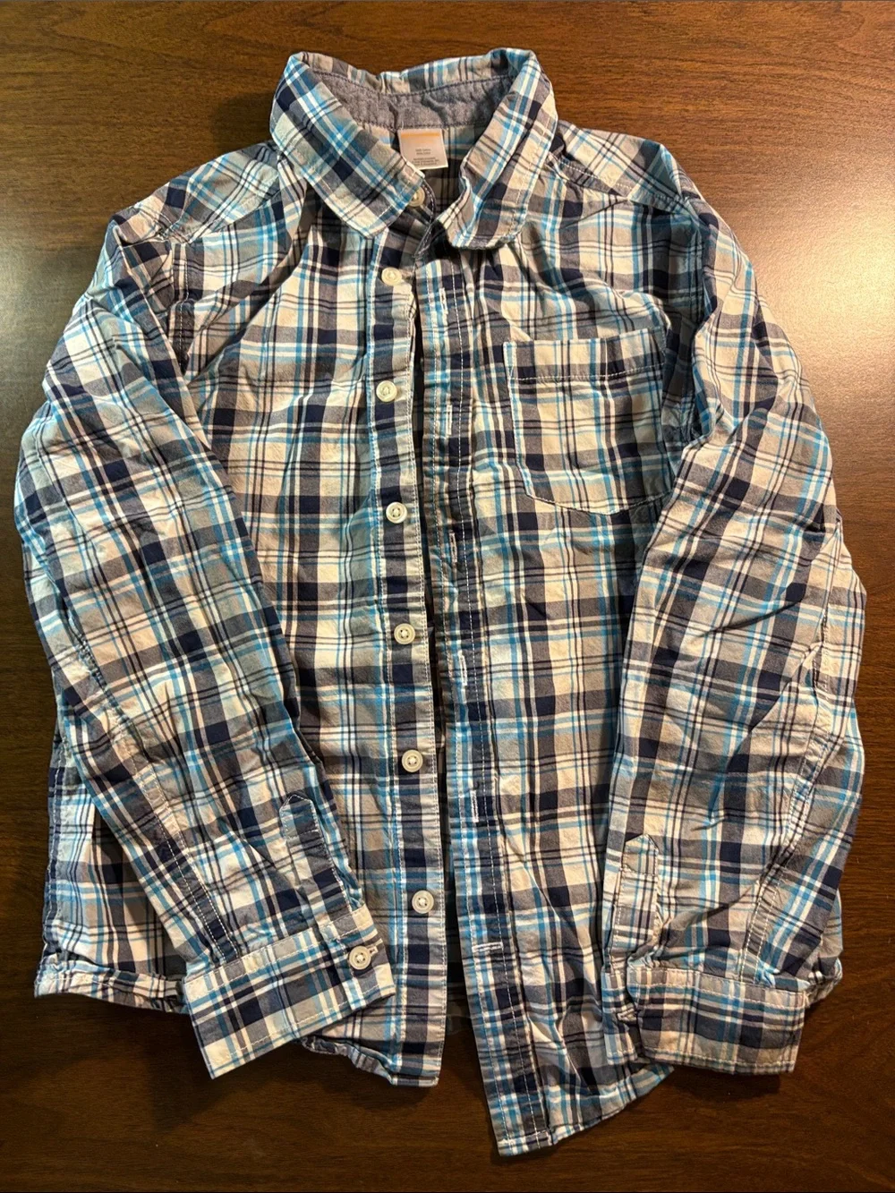 Gymboree Blue and White Plaid Button-Down Shirt